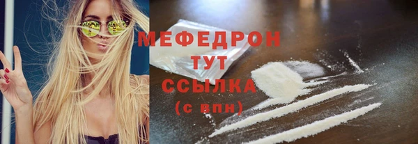 индика Арсеньев