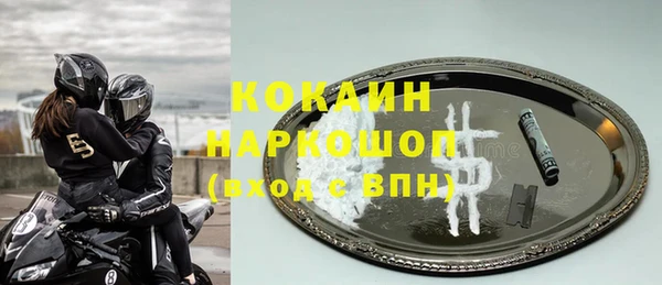 индика Арсеньев