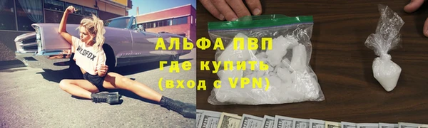 индика Арсеньев