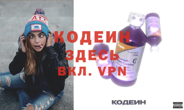 индика Арсеньев