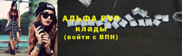 индика Арсеньев