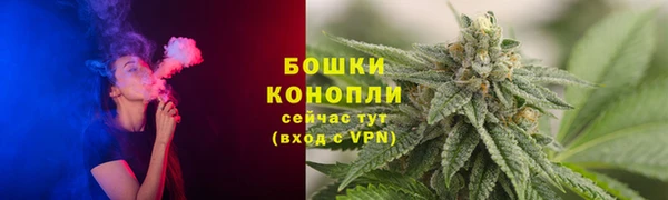 дмт Аркадак