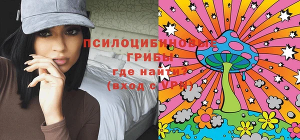 дмт Аркадак