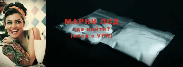 индика Арсеньев